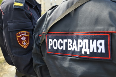 Двух магазинных воров задержали в Мурманске