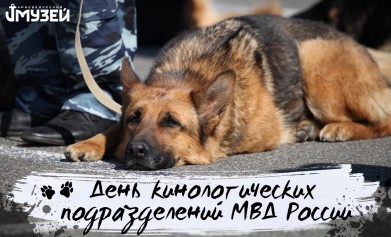 В России отмечается День кинологических подразделений МВД