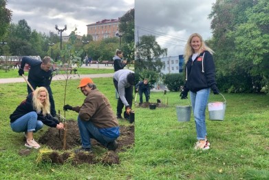 Более 150 деревьев и 1600 кустарников высадили в Мурманске за один день