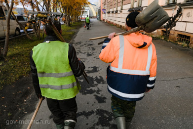 Проект по трудоустройству подростков и безработных граждан реализуют в Мурманской области