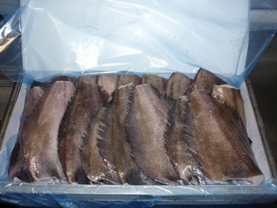 Мороженый палтус из Мурманска «завернут» норвежскому производителю