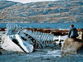 «Левиафан» выдвинут от России на «Оскар»
