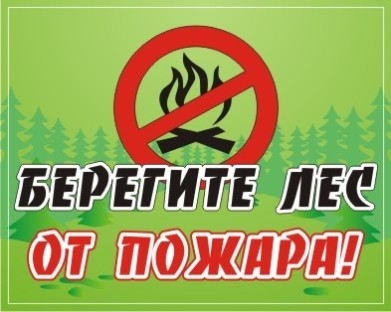 Для всех районов Мурманской области разработаны планы тушения лесных пожаров в 2015 году