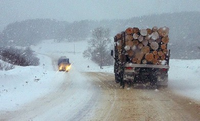Заработала регистрация пользователей портала учета древесины с правами Лесопользователя