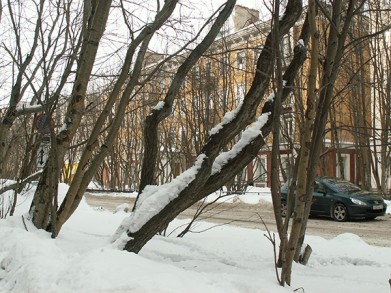 В Мурманске будет запрещена парковка