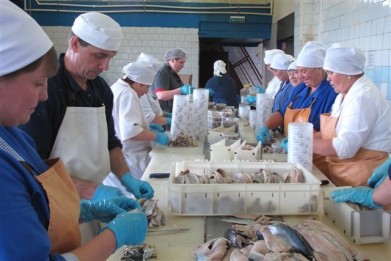 В Мурманске подписано соглашение, призванное расширить поставки рыбопродукции на внутренний рынок