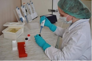 Эпизоотическое благополучие региона – под постоянным контролем госветслужбы Мурманской области