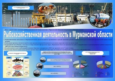 Определены победители регионального этапа международного конкурса статистических постеров