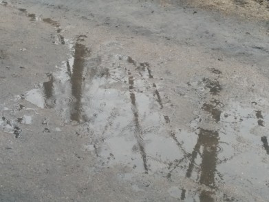 Циклон принесёт в Мурманскую область дождь и мокрый снег