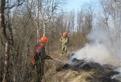 С 1 мая в лесах Мурманской области открыт пожароопасный сезон