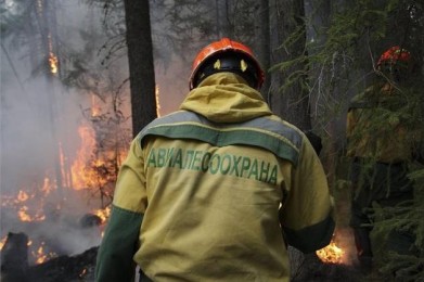 В Мурманской области выберут лучшего лесного пожарного