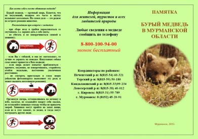 Министерством природных ресурсов и экологии Мурманской области разработана памятка о правилах поведения при встрече с медведем