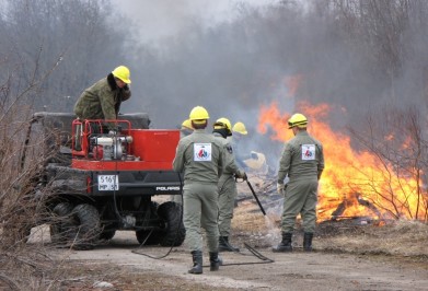В Мурманской области выбрали лучшего лесного пожарного