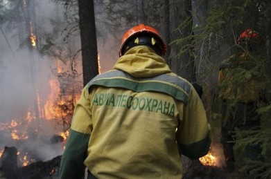 За прошедшие сутки в Мурманской области ликвидировано два лесных пожара