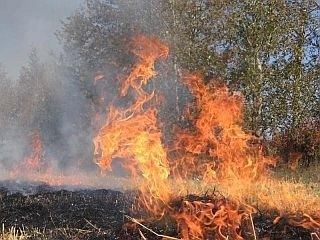 Правительством Российской Федерации установлен запрет на сжигание сухой травянистой растительности