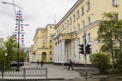 План 2015 года по лесовосстановлению в Мурманской области выполнен в полном объёме
