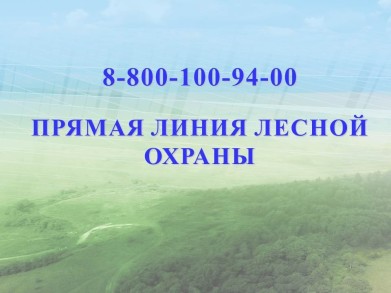 В Мурманской области с начала пожароопасного сезона ликвидировано 26 лесных пожаров