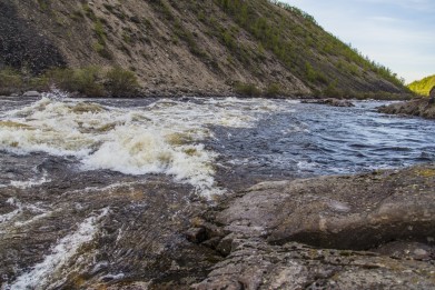 Потепление воды привело к снижению численности больной рыбы в Мурманской области