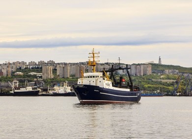 Программа развития рыбохозяйственного комплекса Мурманской области стала конкретнее