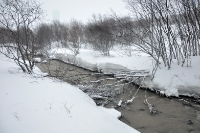 До -13 градусов ожидается в Мурманской области
