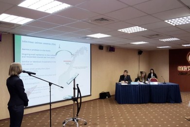 Эпизоотическая ситуация и болезни рыб стали основной темой обсуждения на заседании смешанной российско-норвежской рабочей группы по вопросам развития аквакультуры на приграничных территориях