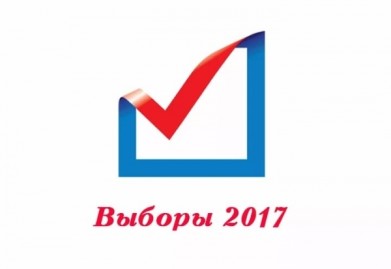 8,8% избирателей проголосовали на допвыборах в Мурманске