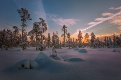 В Мурманской области потеплеет до +1