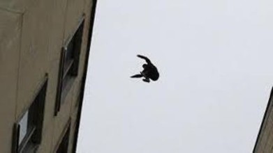 Юный паркурщик сломал ногу в Апатитах
