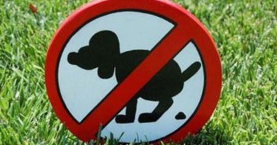 Мурманчан приглашают на акцию протеста против продуктов жизнедеятельности собак