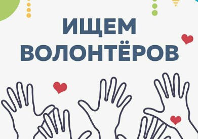 Фестиваль «Териберка. Новая жизнь» ищет волонтёров