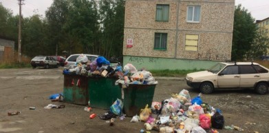 Апатитские дворы завалены мусором