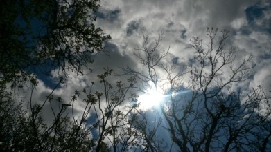 Мурманчан сегодня ожидает переменчивая погода