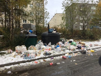 Кандалакшские дворы завалило мусором