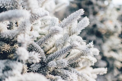 В Мурманской области похолодает до -32°