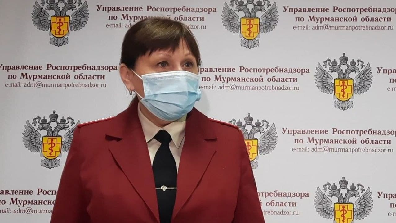 Девять случаев гриппа А H3 N2 зарегистрировано в Мурманской области с конца  сентября | Информационное агентство «Би-порт»