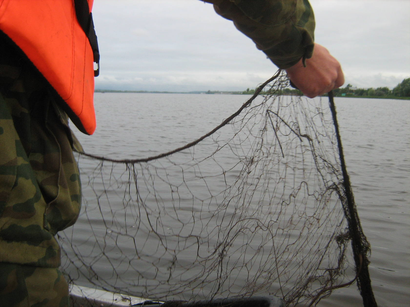 Улов рыбы сетью. Сеть для рыбалки. Ловля рыбы. Ловля сетями.