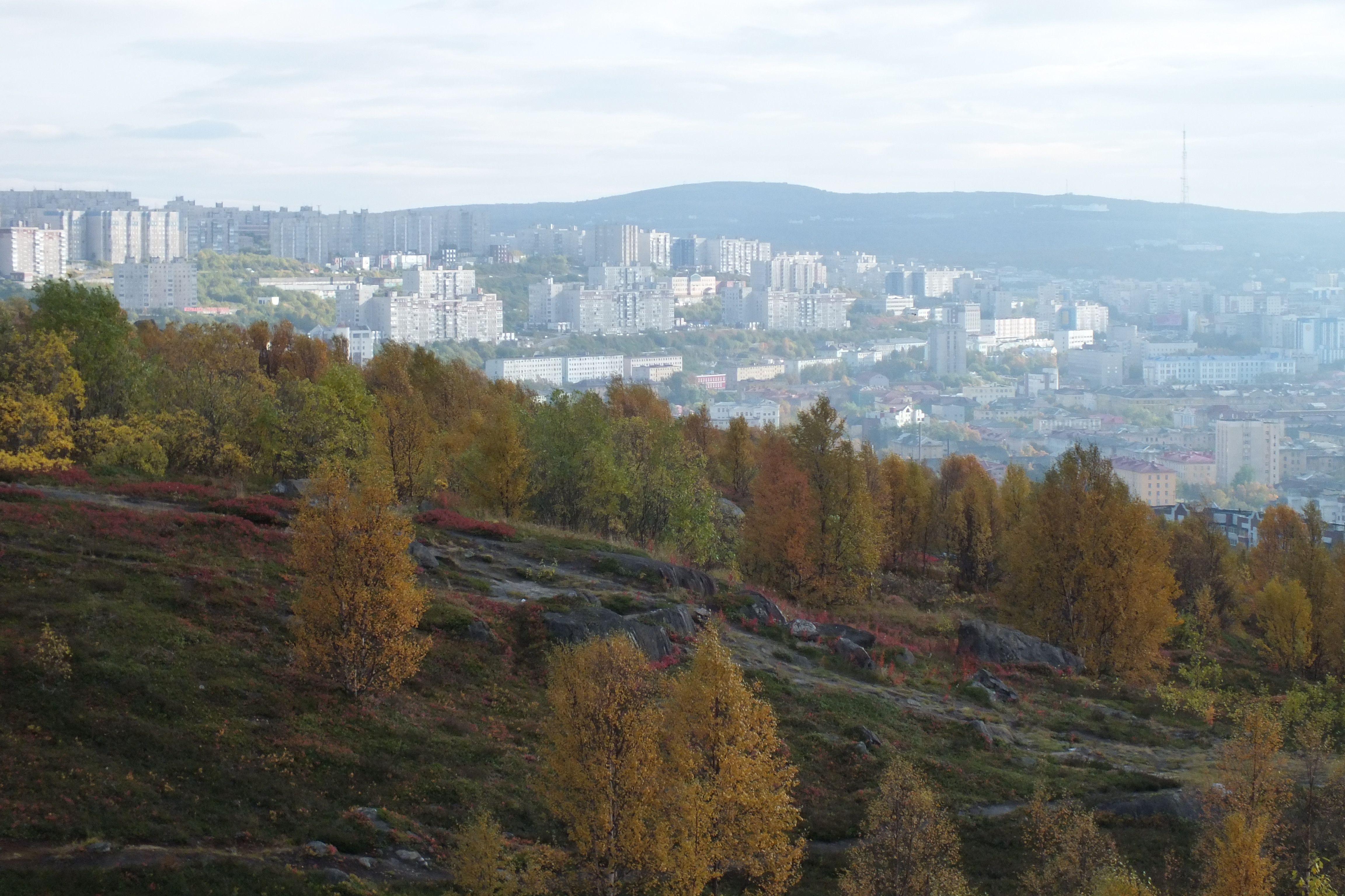 Погода мурманском обл. Мурманск климат. Мурманск в сентябре. Мурманск сегодня. Погода в Мурманске.