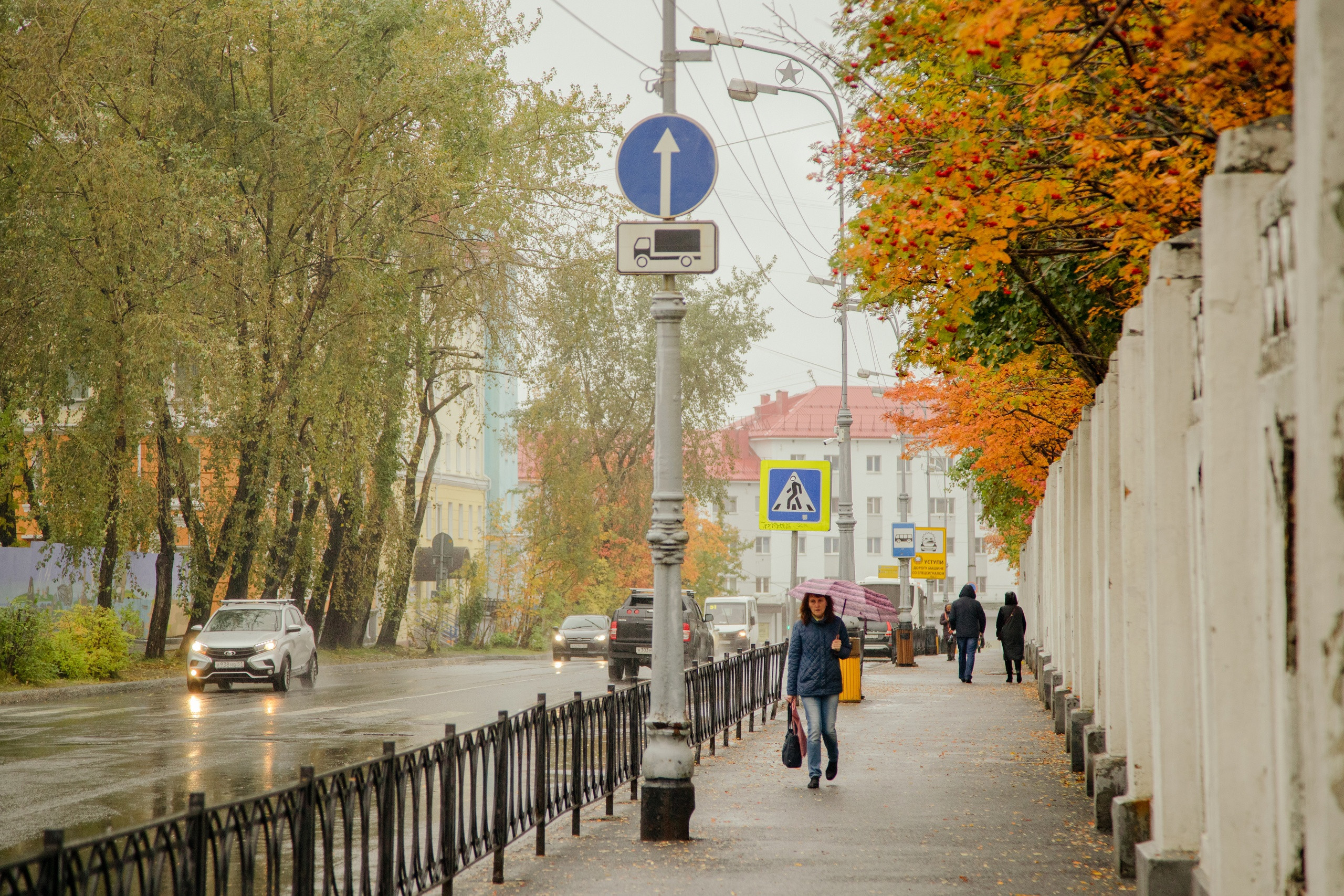 В выходные на дорогах Мурманской области пострадали пять северян |  Информационное агентство «Би-порт»