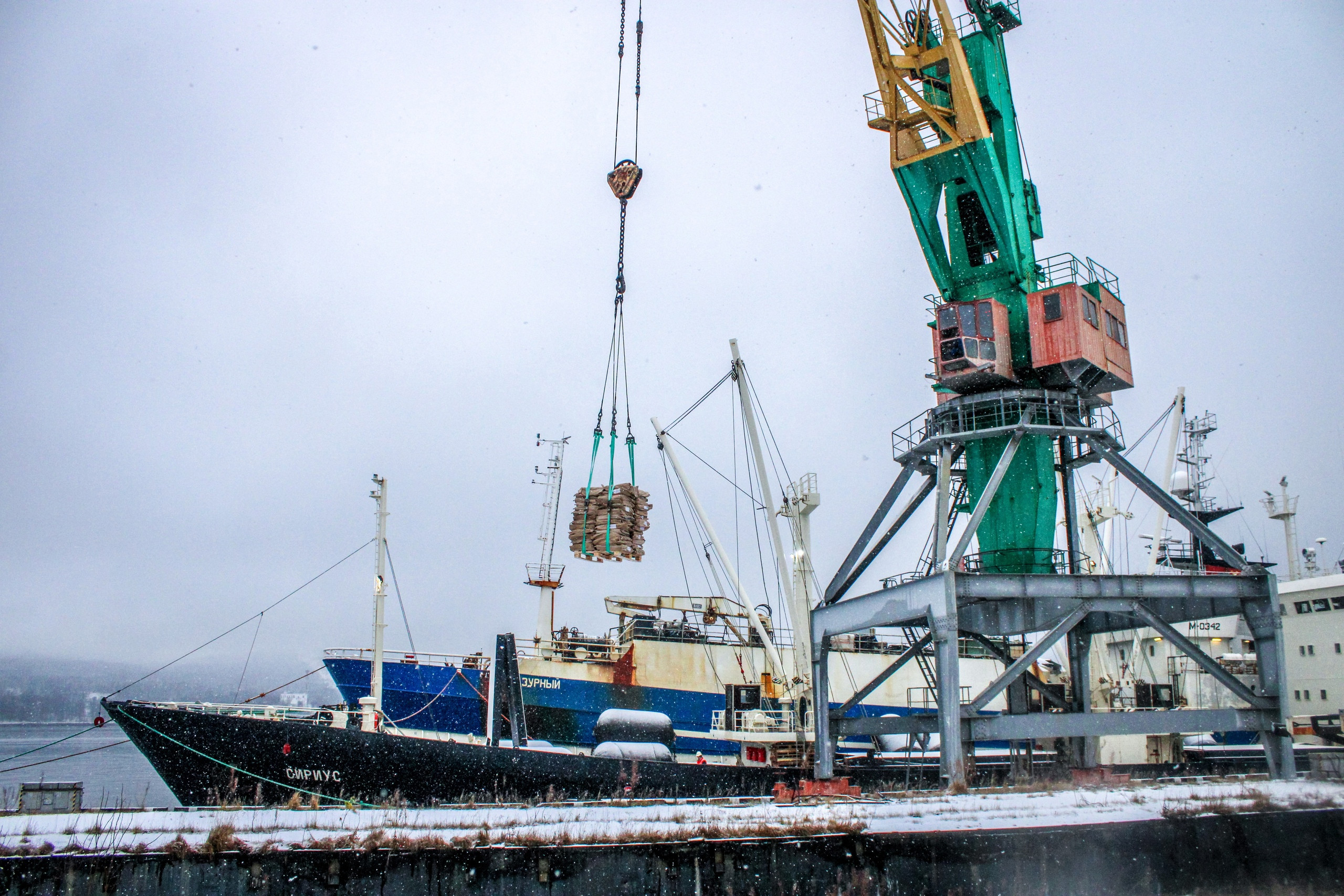 Мурманский морской рыбный порт. Порт. Мурманск порт грузооборот. Севастопольский морской рыбный порт вакансии.