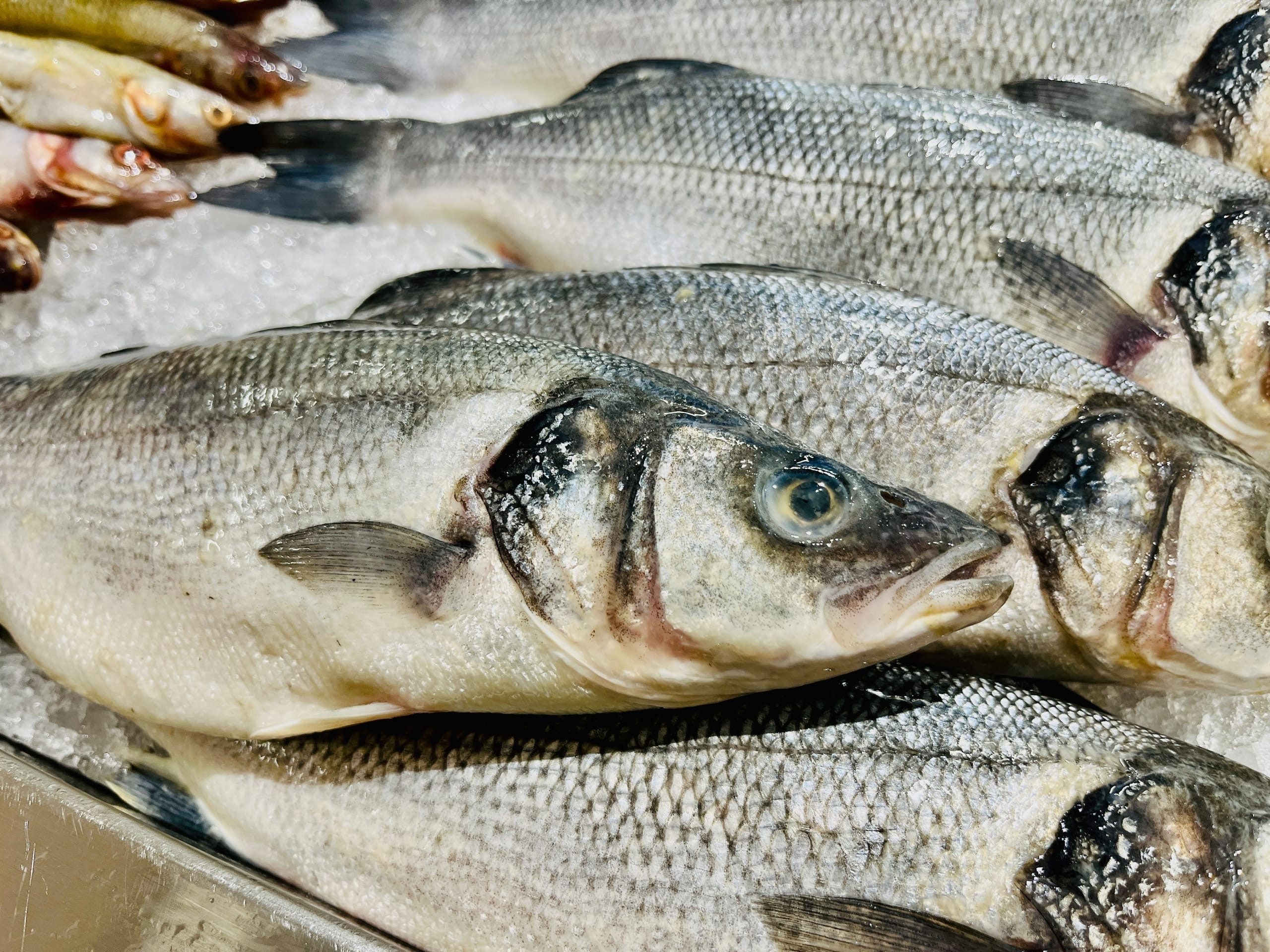 Наша рыба. Рыбное сырье. Мороженная рыба оптом АЙСФИШ.