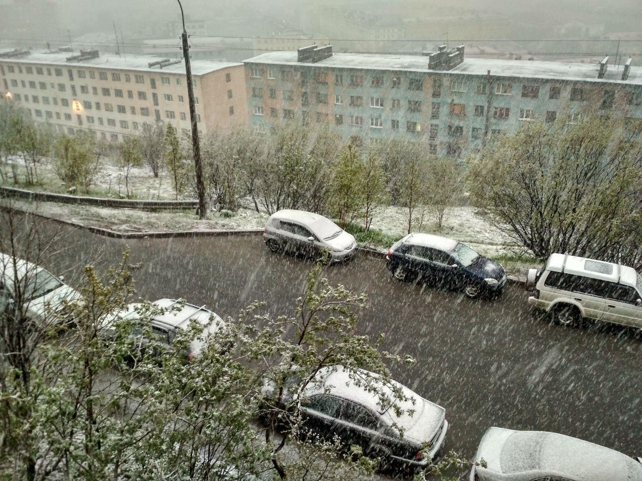 Погода в мурманске сейчас. Дождь в Мурманской области. Мурманск снег и дождь. Погода в Мурманске. Гидрометцентр Мурманск.