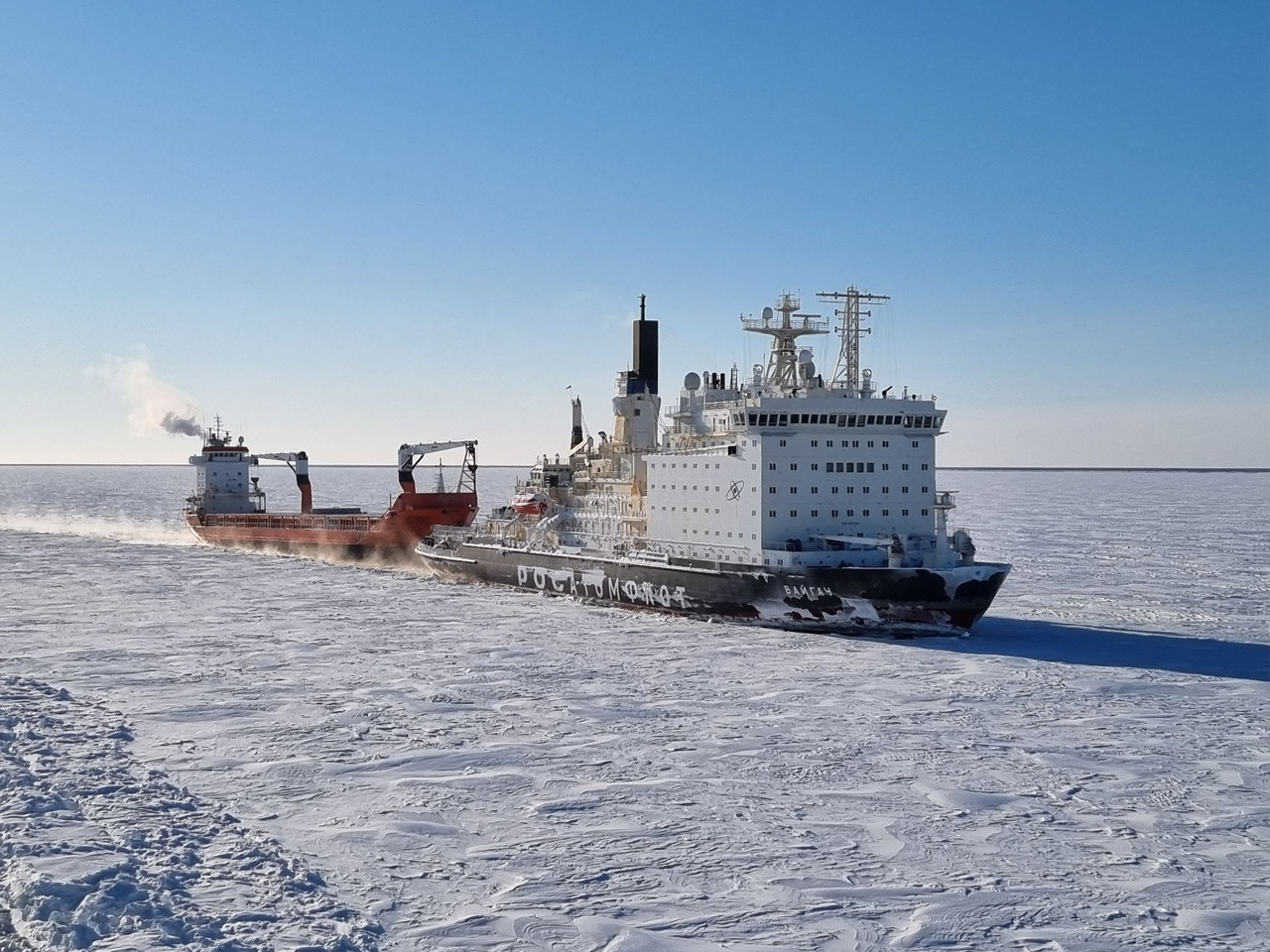 Девушка 12 минут плавала с белухами в ледяной воде в Белом море. Видео |  Информационное агентство «Би-порт»