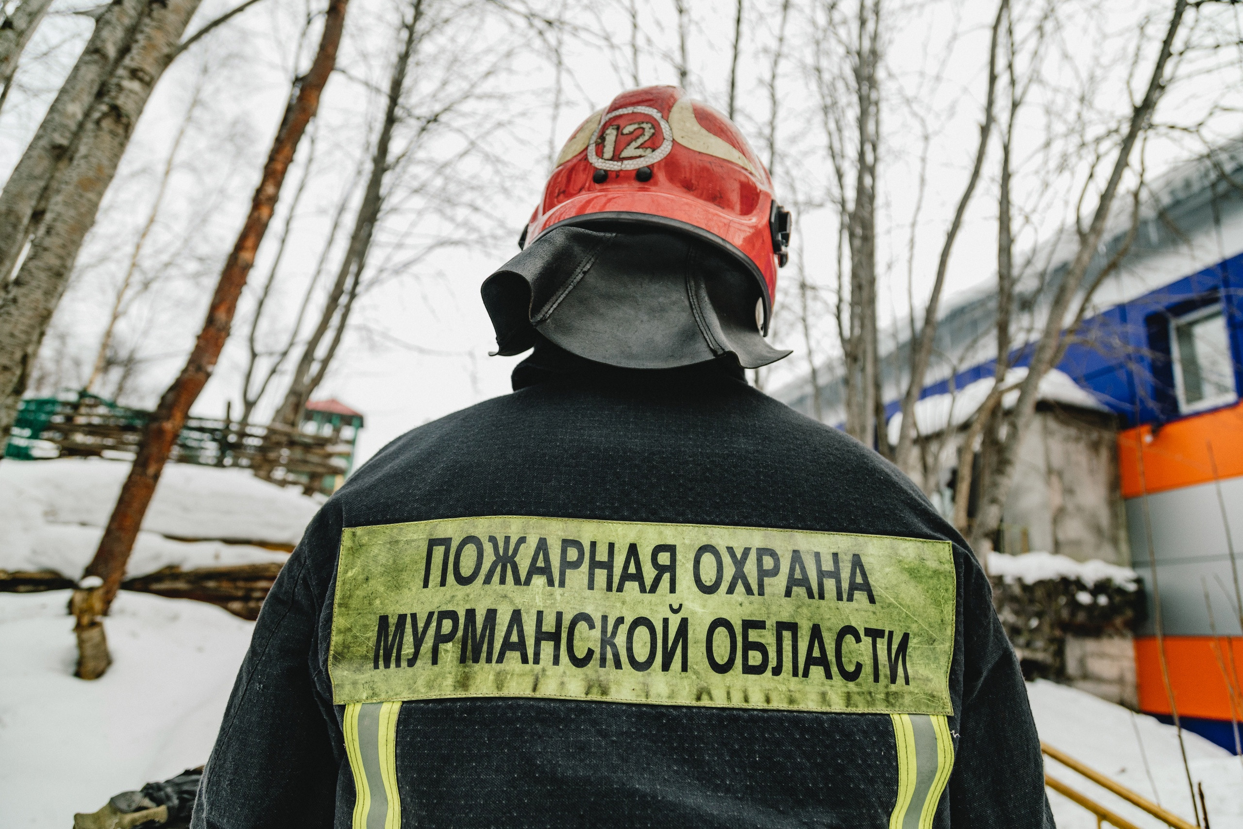 Пять животных спасли из горящей квартиры в Мурманске, одна кошка погибла |  30.05.2024 | Мурманск - БезФормата