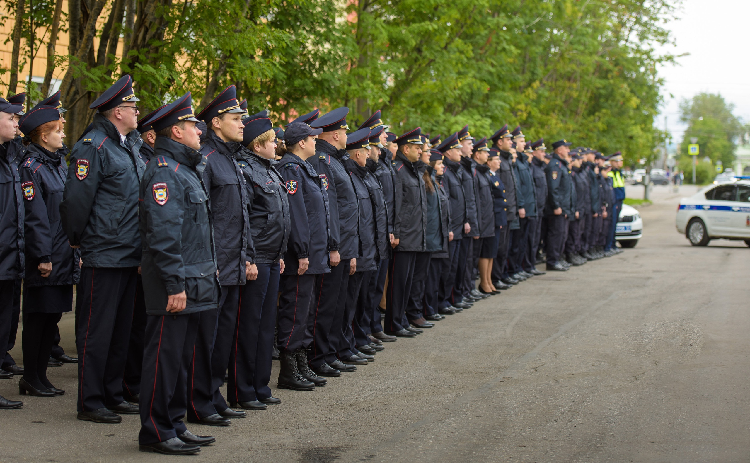 Почему пингвины не замерзают на льду