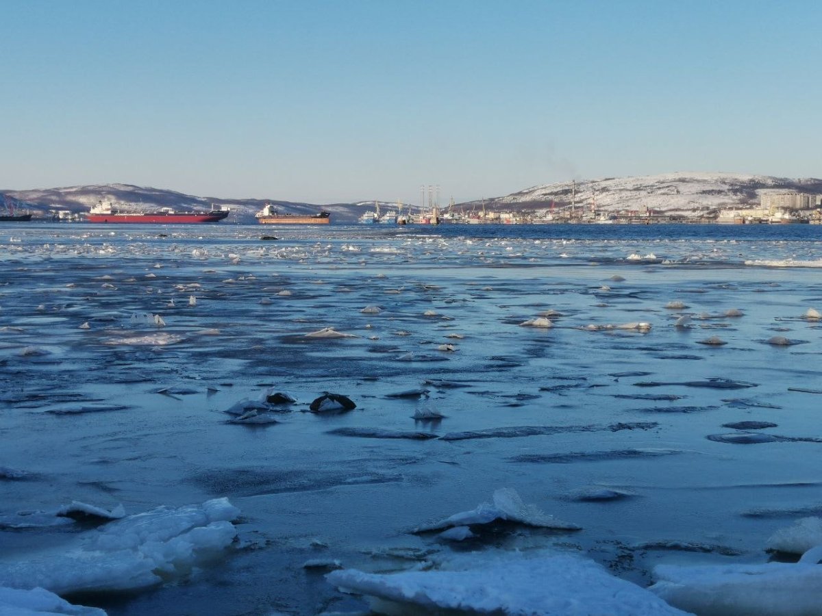 Кольский залив весной