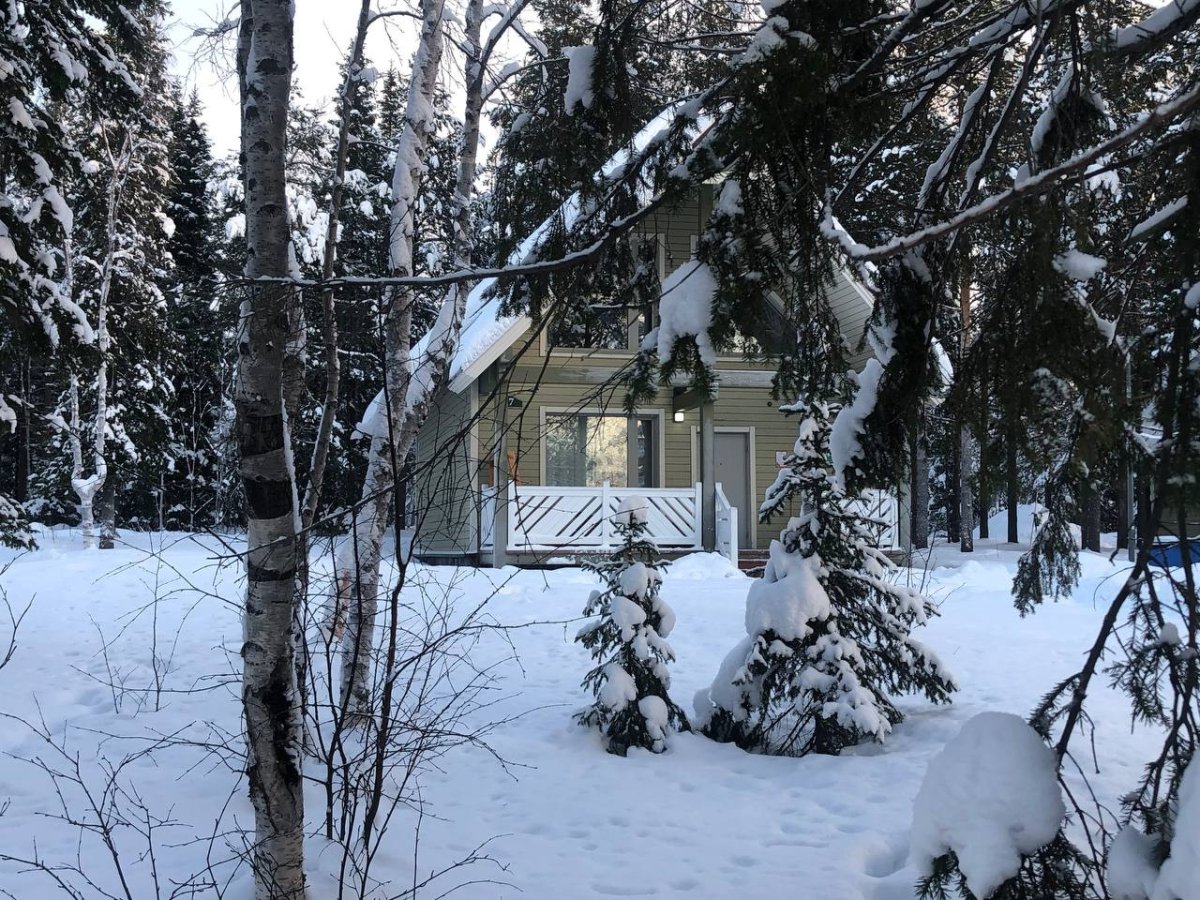 Деревянный дом а заснеженном лесу