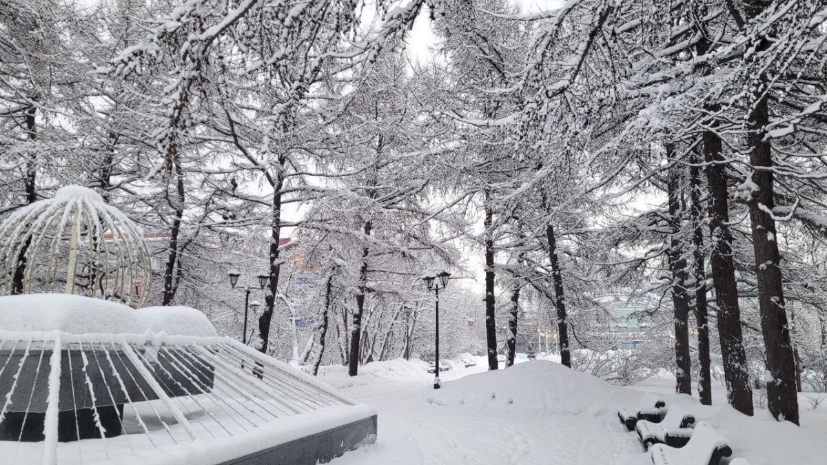 Зимний сквер в снегу