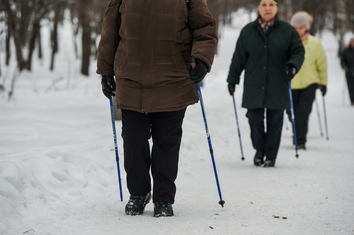 Пожилые женщины занимаются скандинавской ходьбой