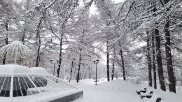 Зимний сквер в снегу