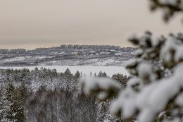 Зимний лес рядом с Мурманском.